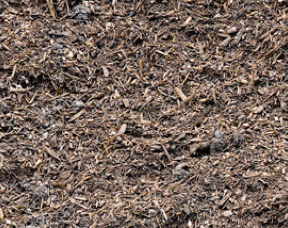 Wholesale Nursery Mix