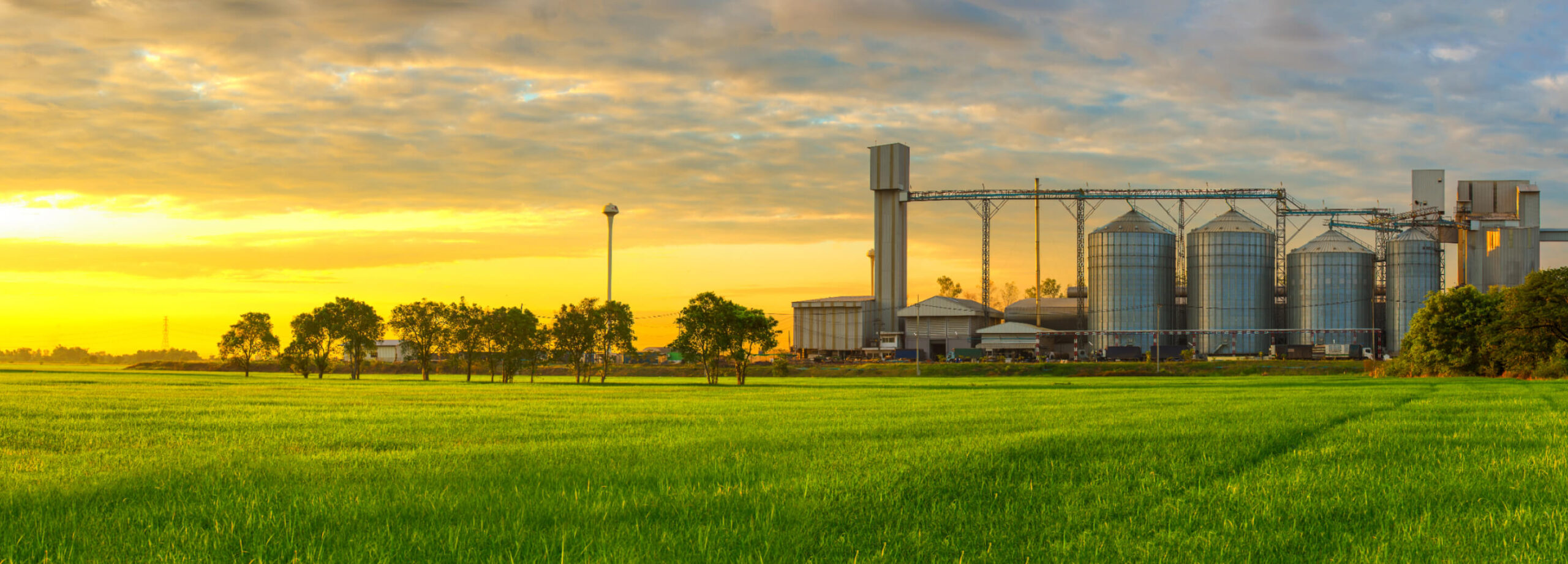 Green field with sunset in distance and processing plant