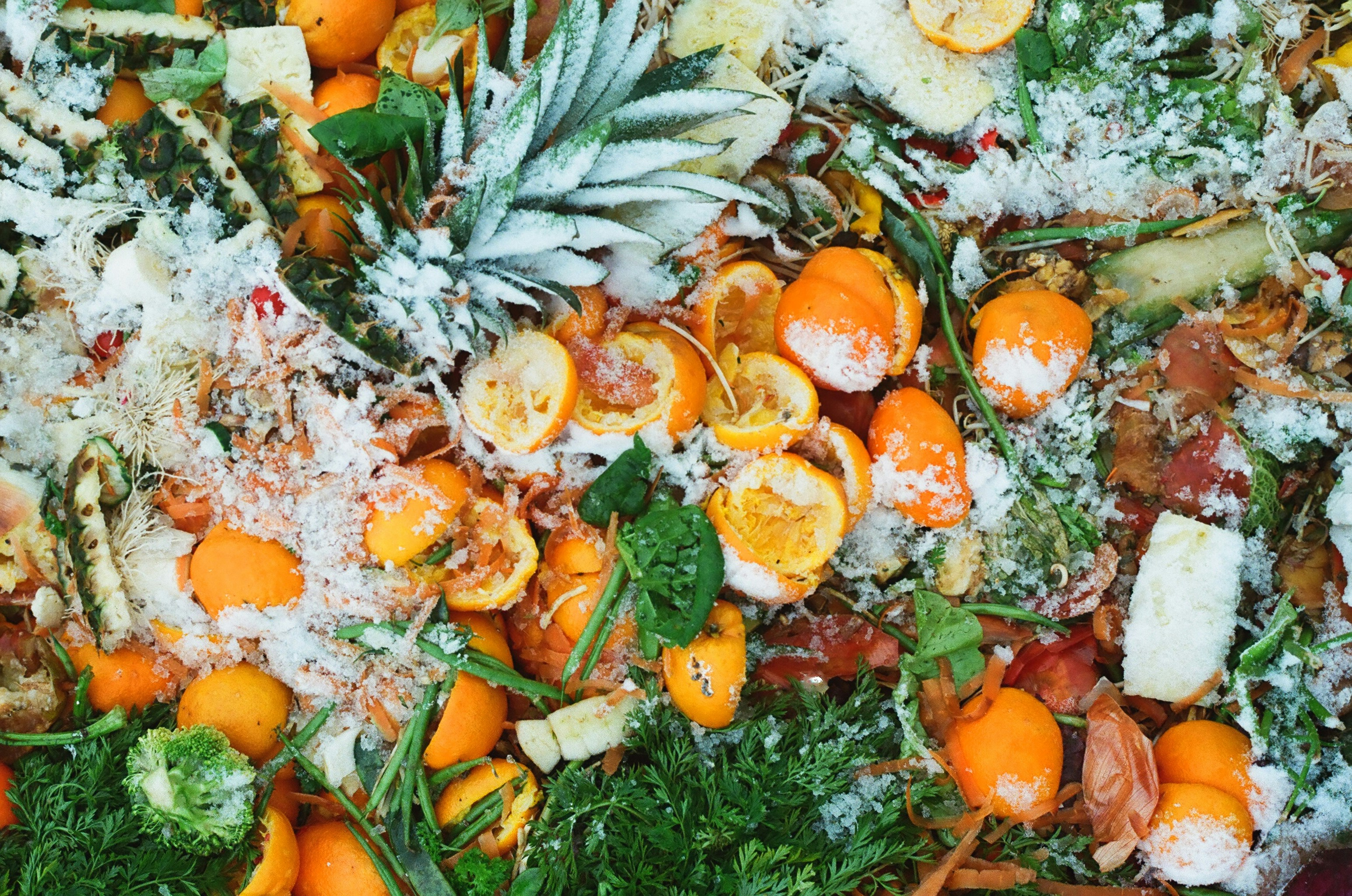 Pile of food scraps with frost over top