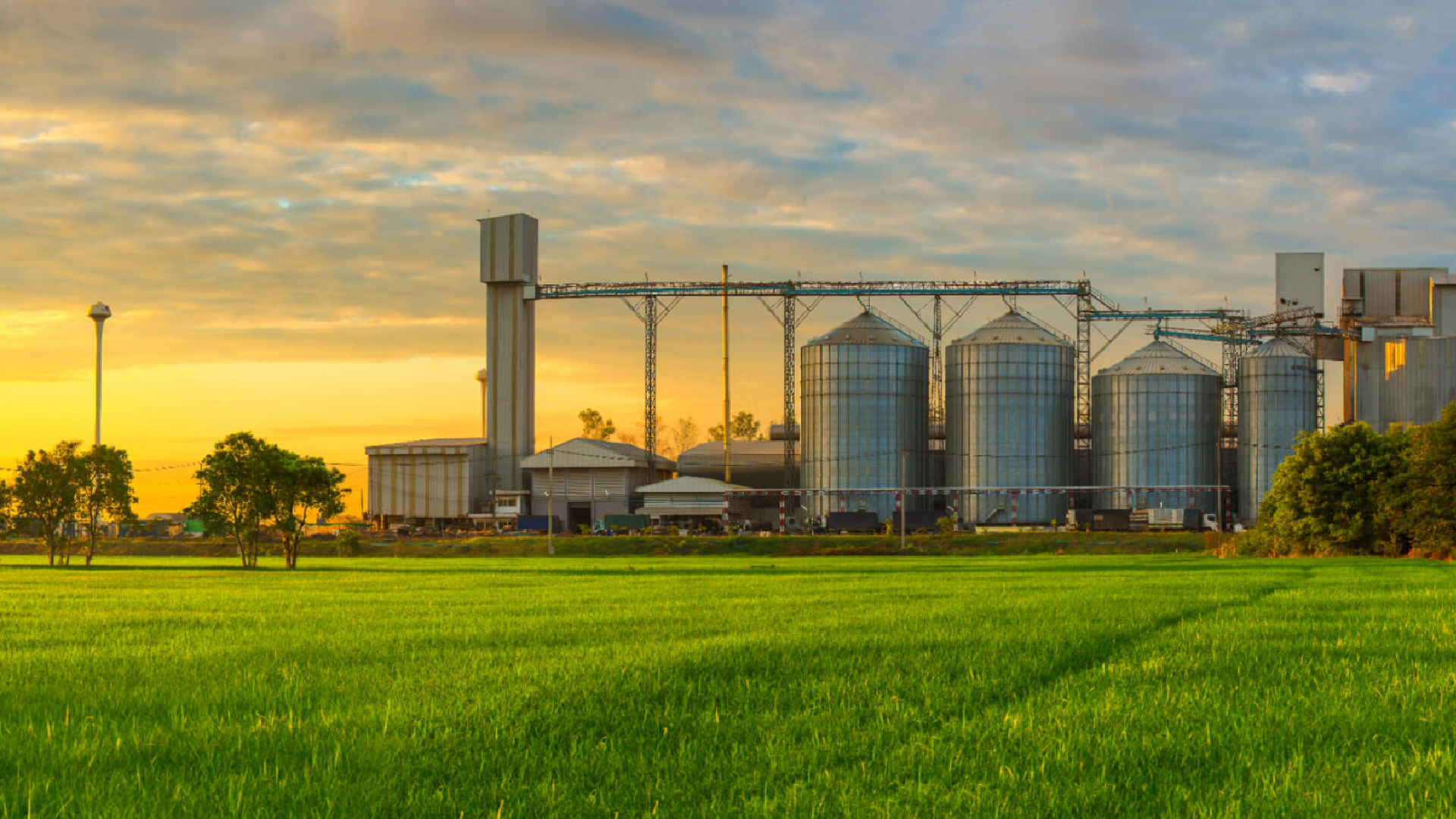 Grassy field with processing plant. Sunset in the distance