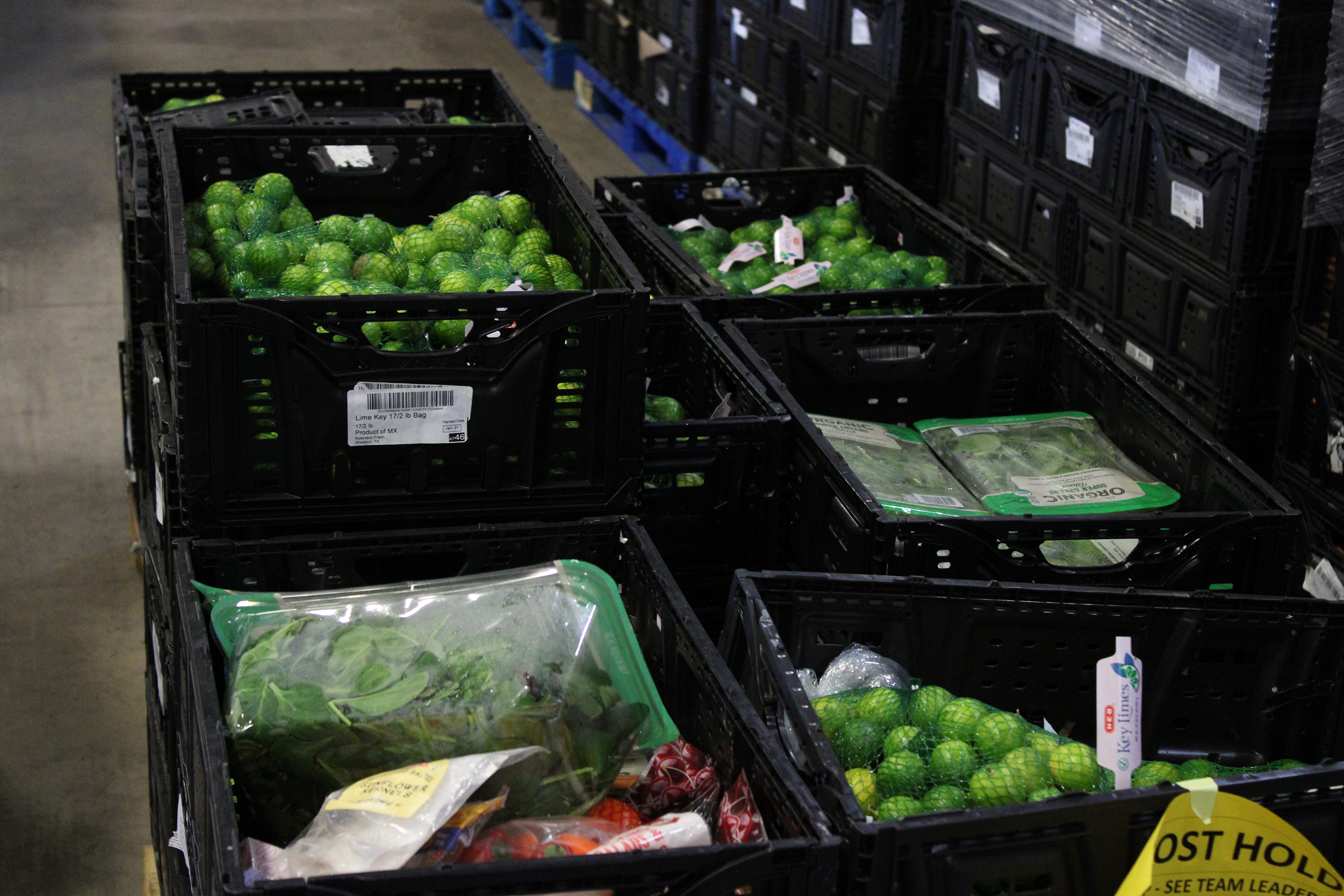 Platic bins full of fresh produce