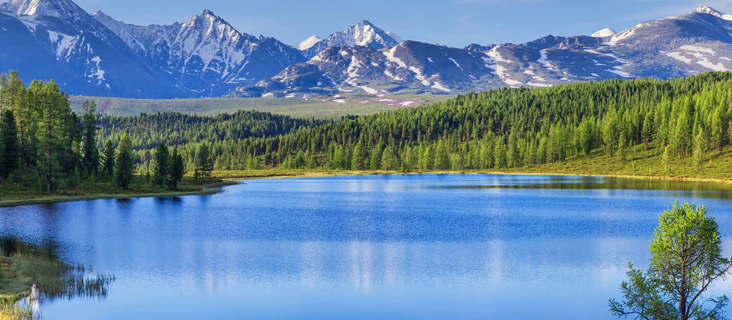 Blue lake surrounded by greenery and a snowy mountain range