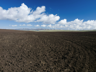 Field of dark, rich soil with bright blue sky
