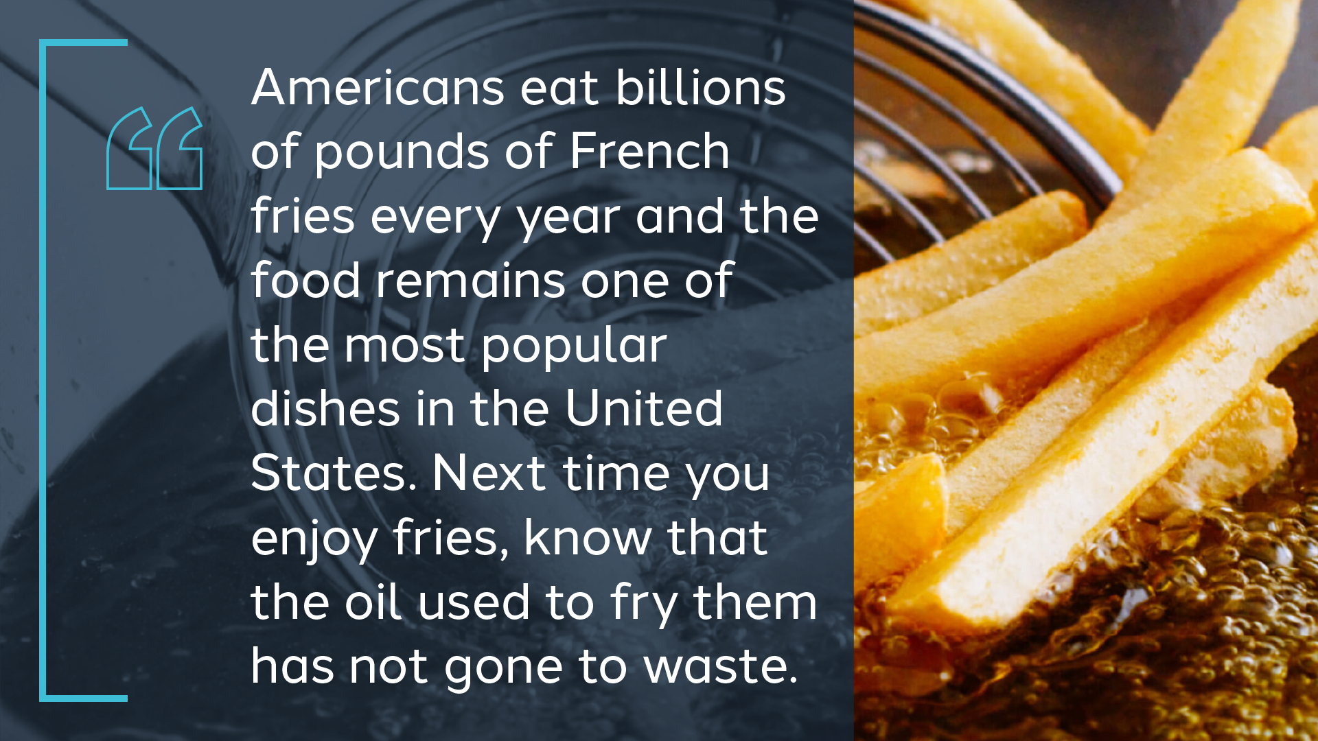 Close-up photograph of french fries being pulled out of hot frying oil with a slotted wire spoon. Text: Americans eat billions of pounds of french fries every year and the food remains one of the most popular dishes in the United States. Next time you enjoy fries, know that the oil used to fry them has not gone to waste.dp
