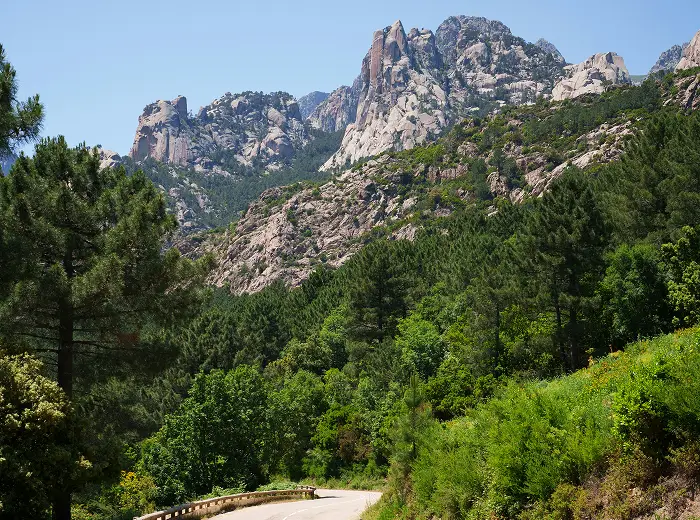 Italian mountains covered with green forests