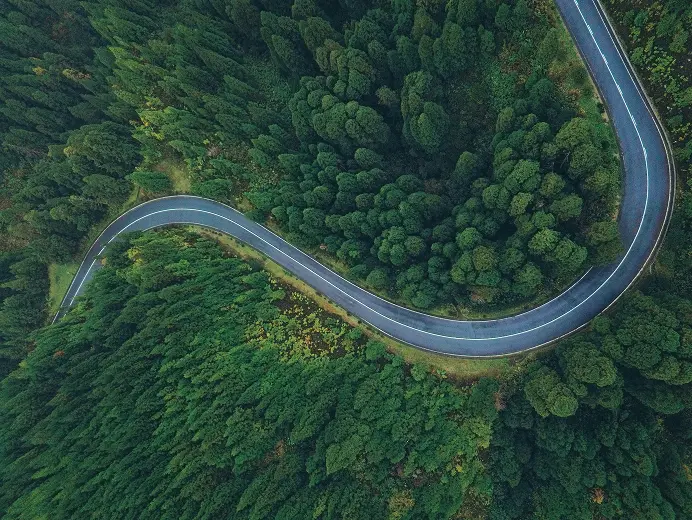 Winding road through a green forest
