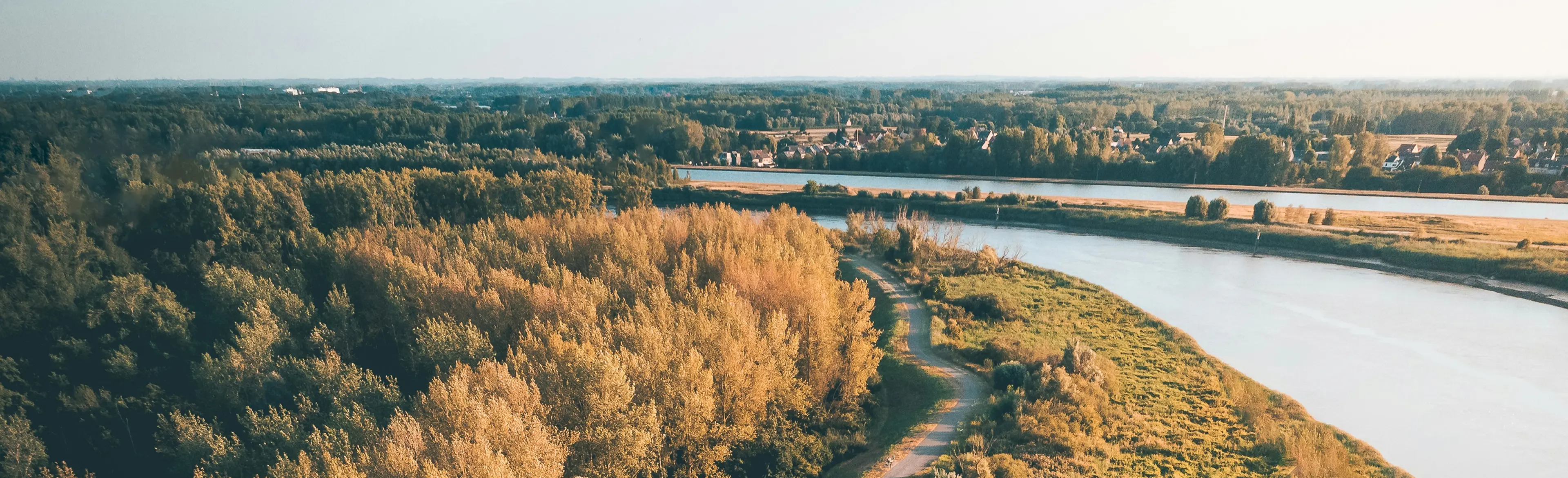 Asphalt road running through a forested area along a river