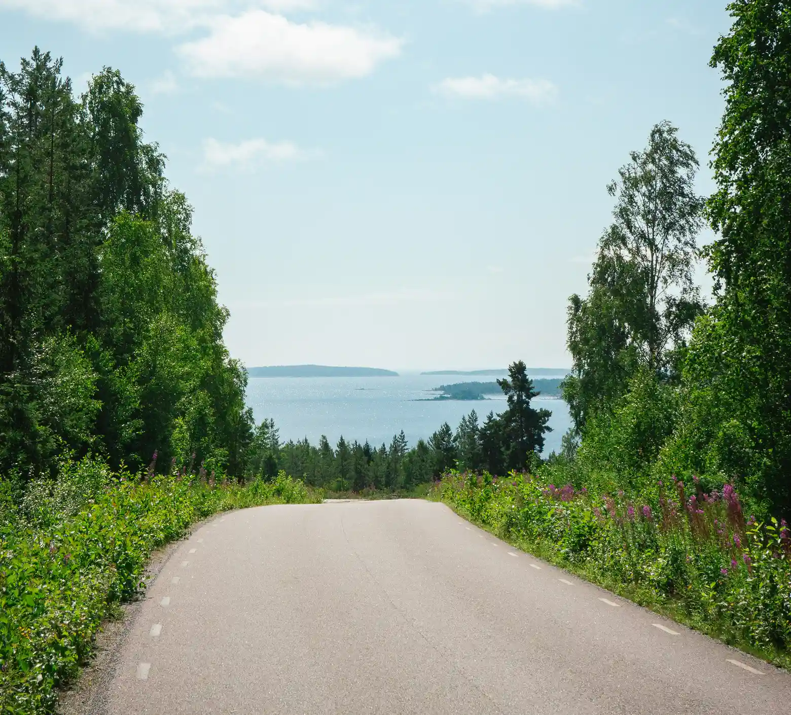 Straight road going through green forest with the ocean in the background.