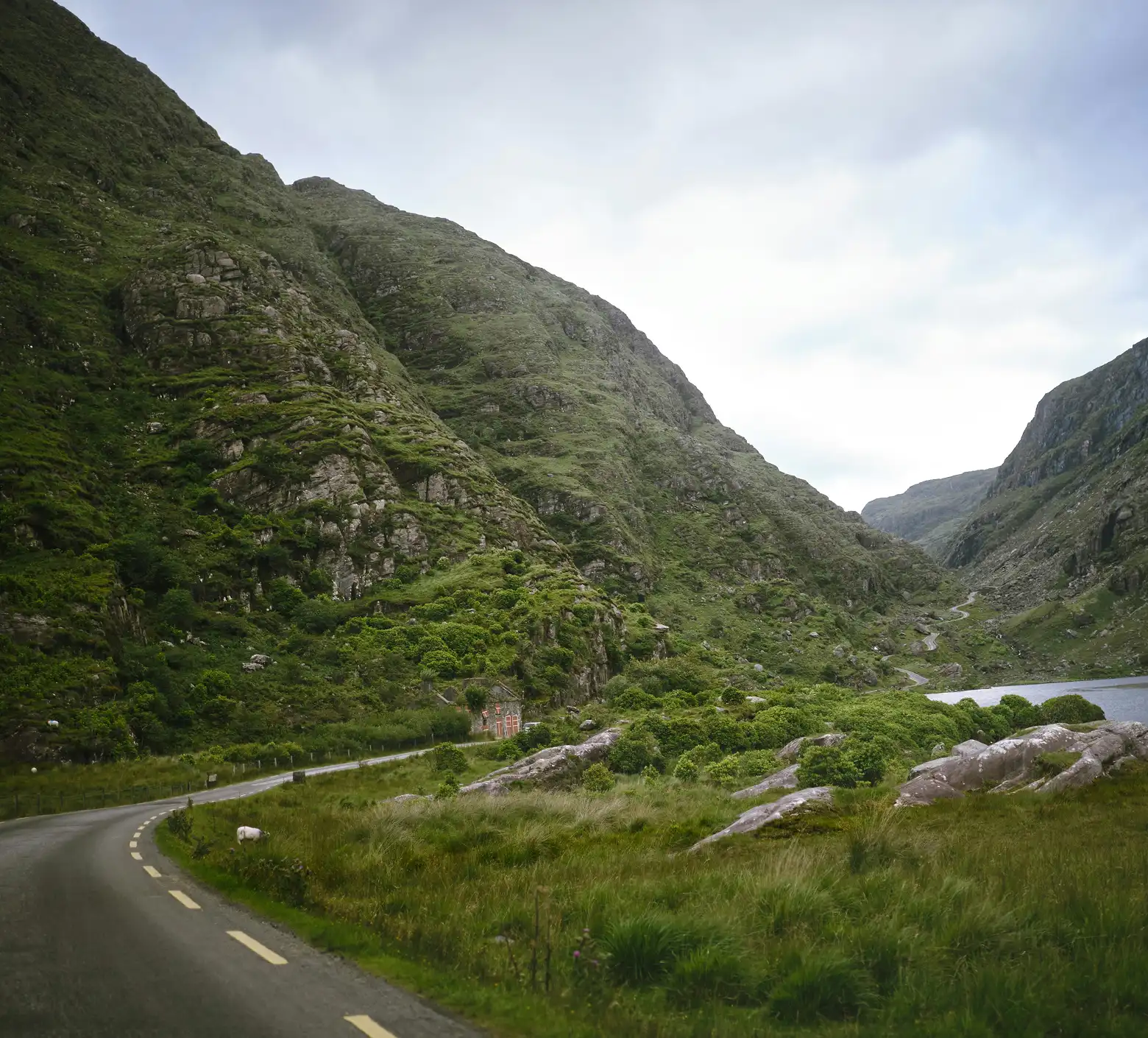 Asphalt road winding between mountains covered in green.