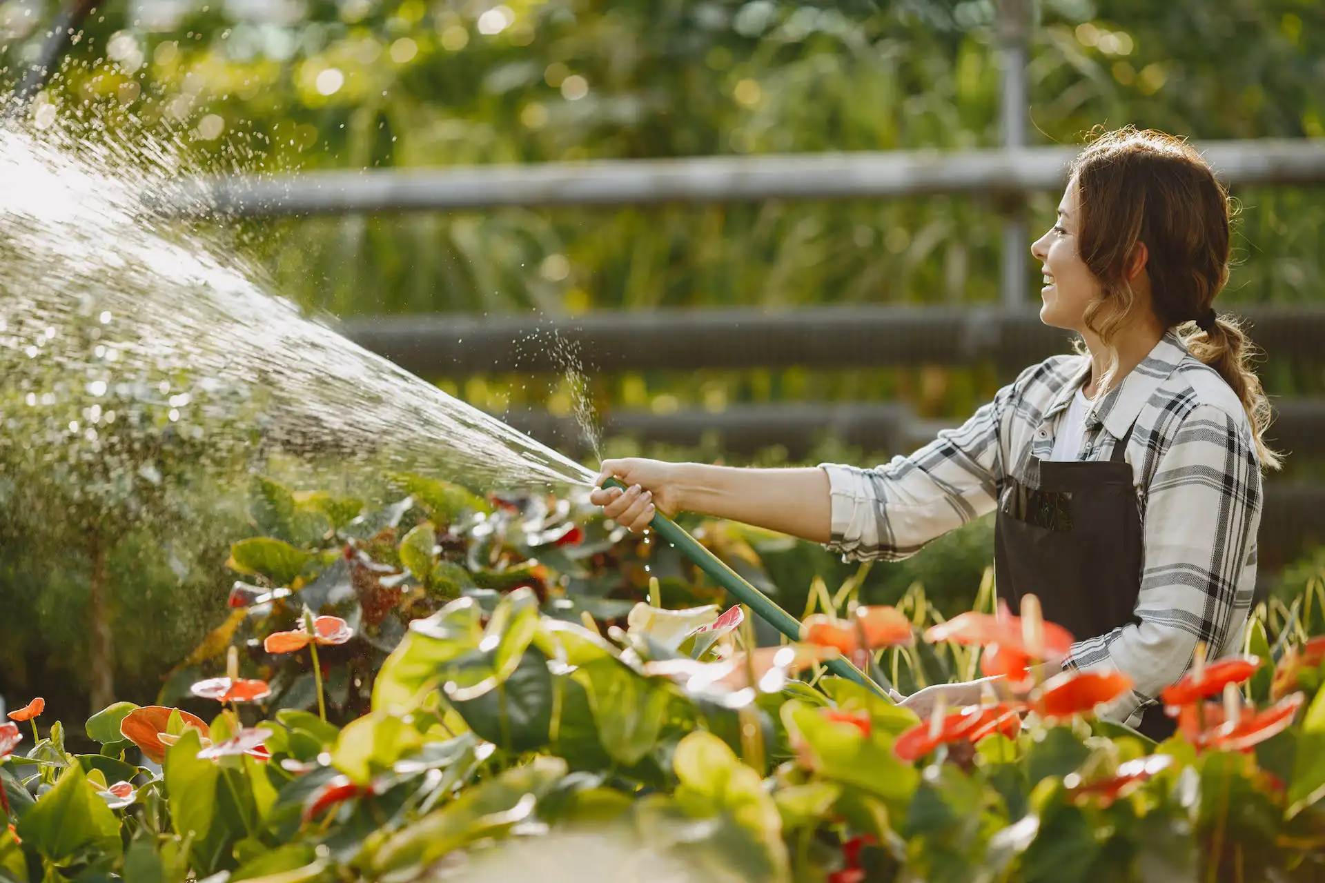 Watering Can