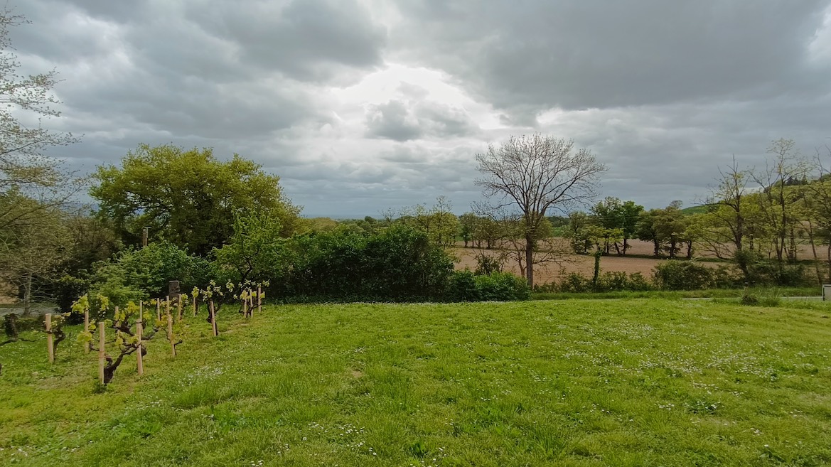 Terrain constructible de 8700 m² à vendre à Puylaurens avec vue sur la campagne environnante