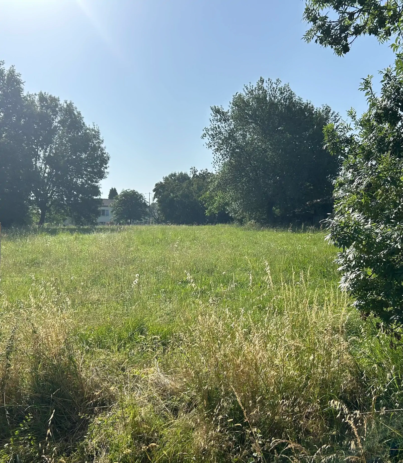Terrain constructible à Saint-Juery – parcelle à bâtir pour maison individuelle en Occitanie