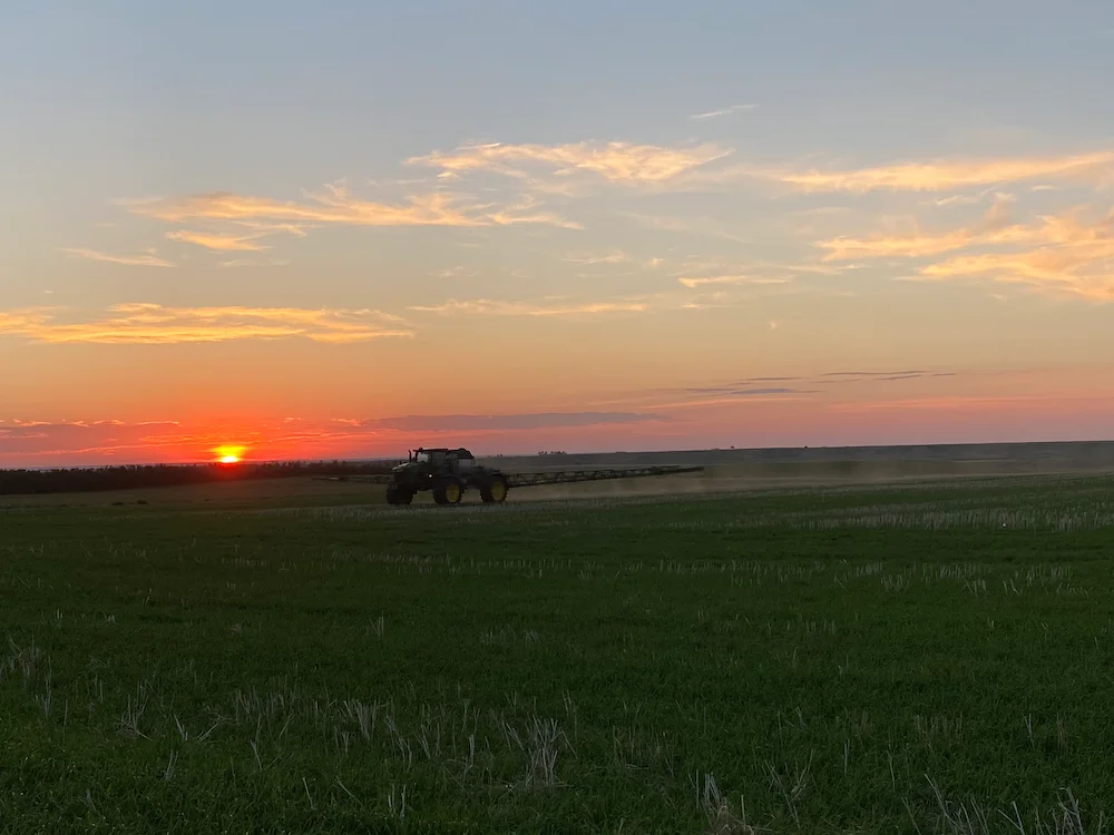 sunset of trial field