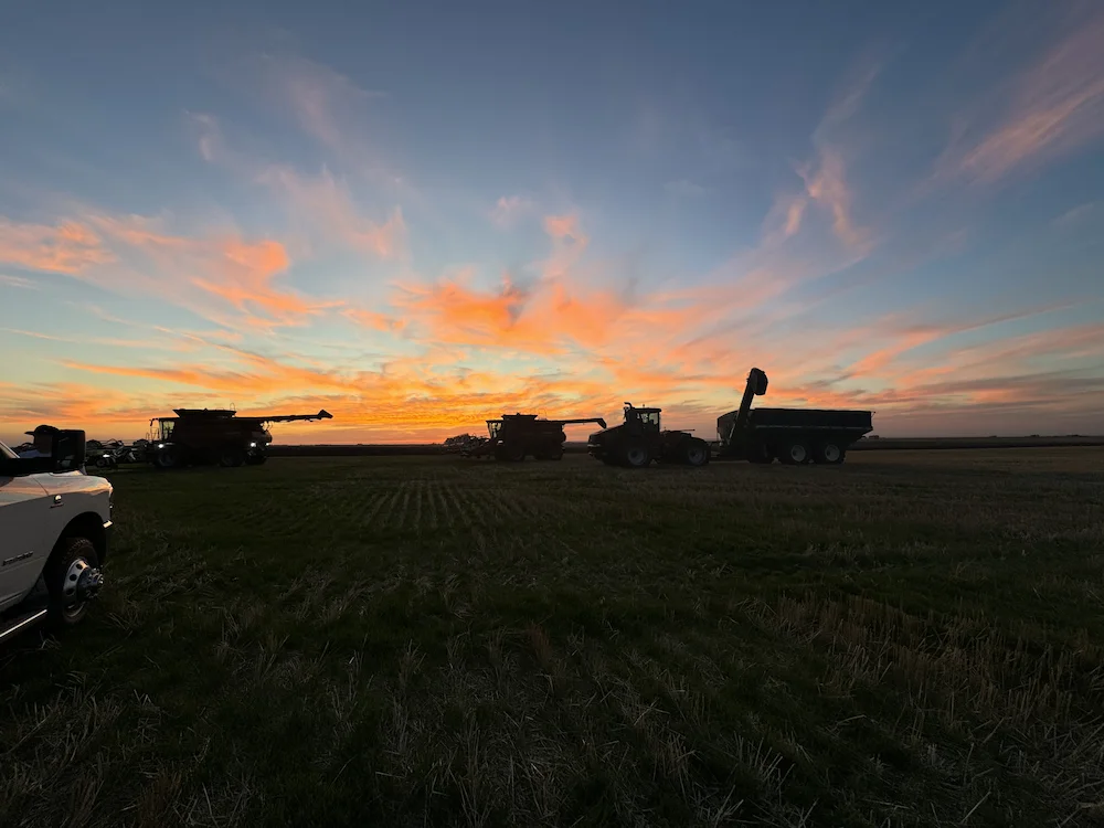 harvest field sunset