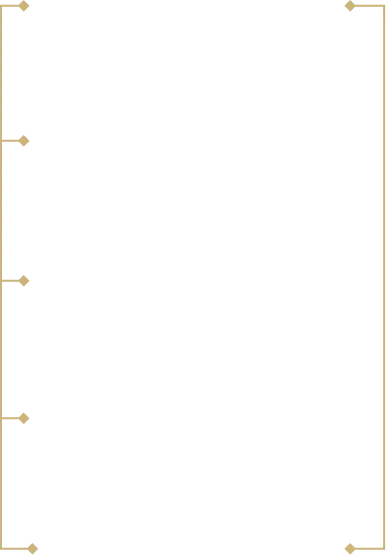 Technical drawing showing a vertical bracket with four equally spaced notches on the left side and mounting holes at each notch and bracket ends.