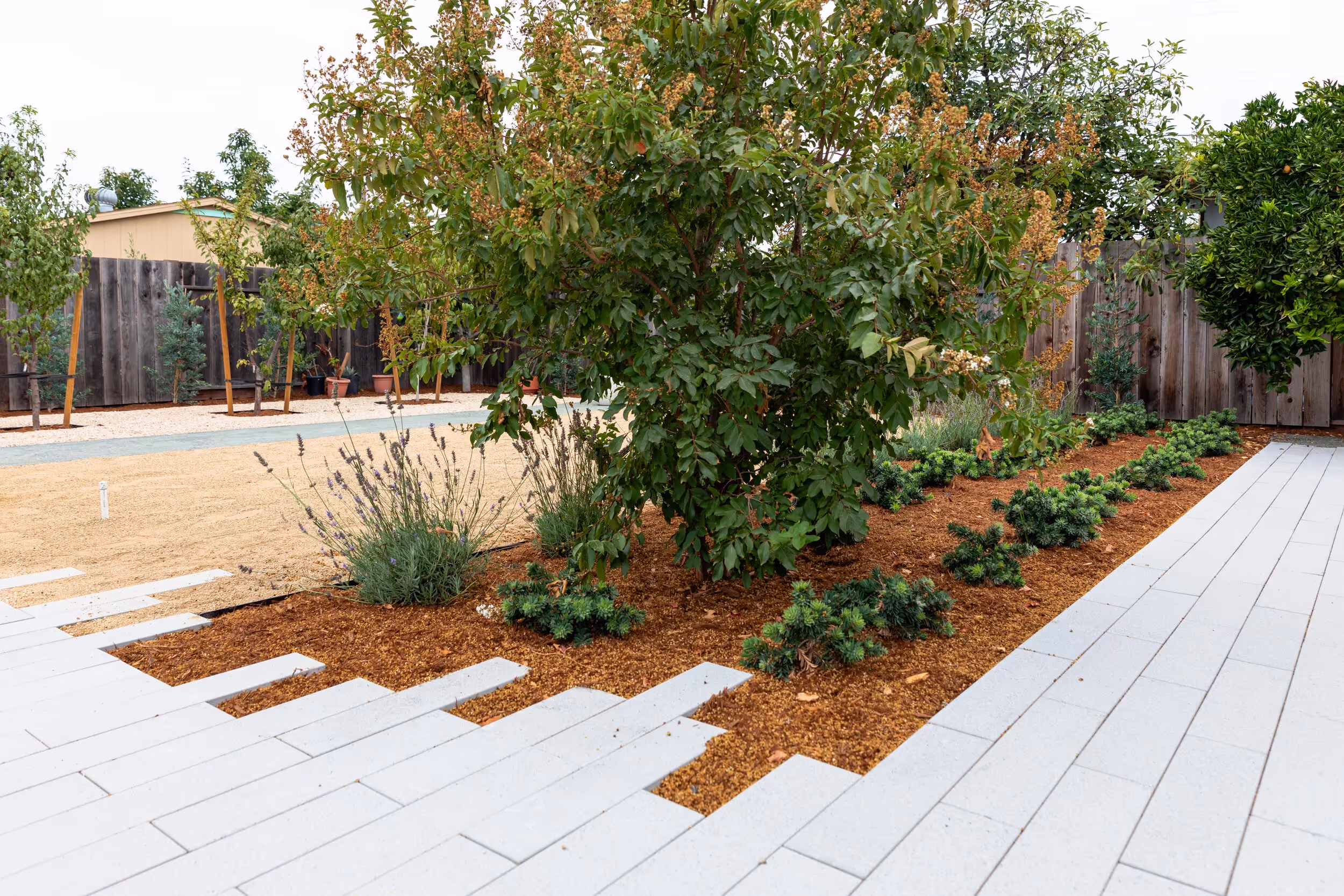 Crowley | Blue Sierra Landscape Projects