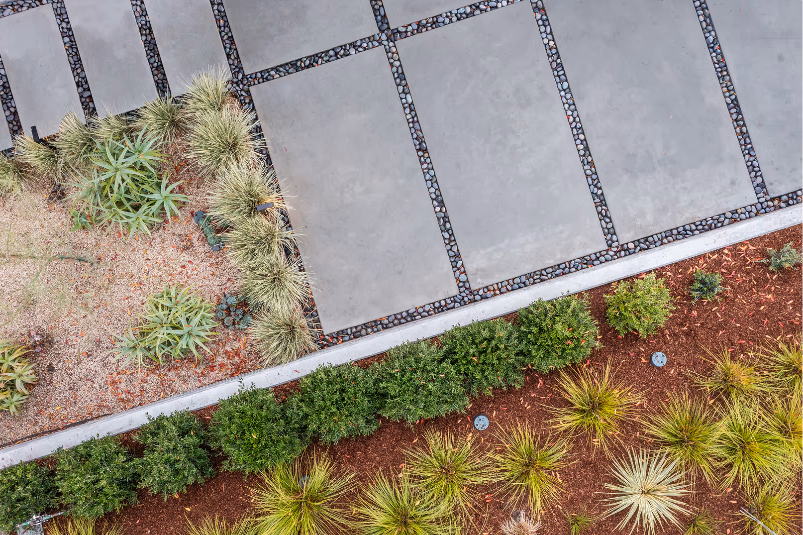 Shirley | Blue Sierra Landscape Projects