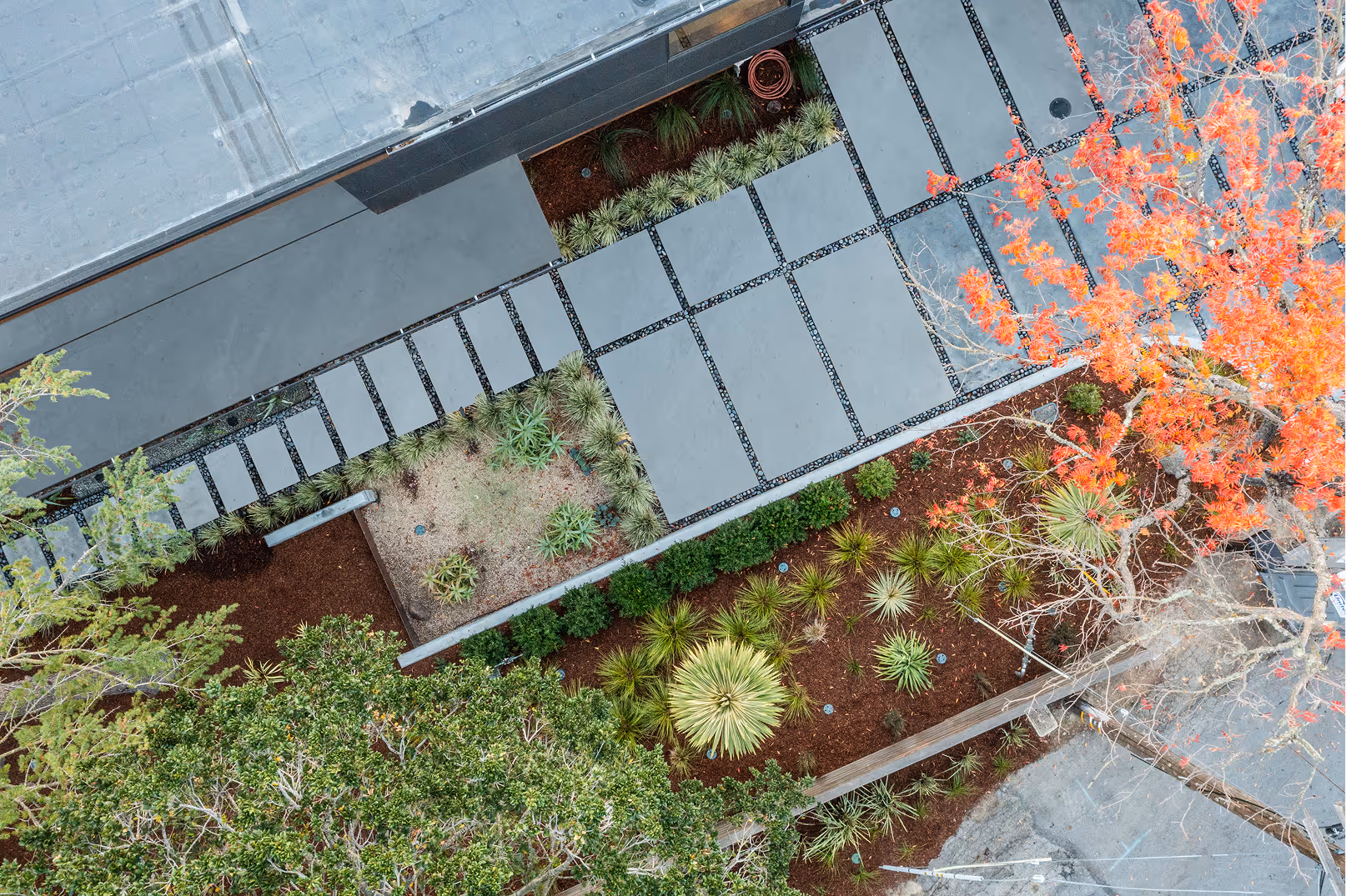 Shirley | Blue Sierra Landscape Projects
