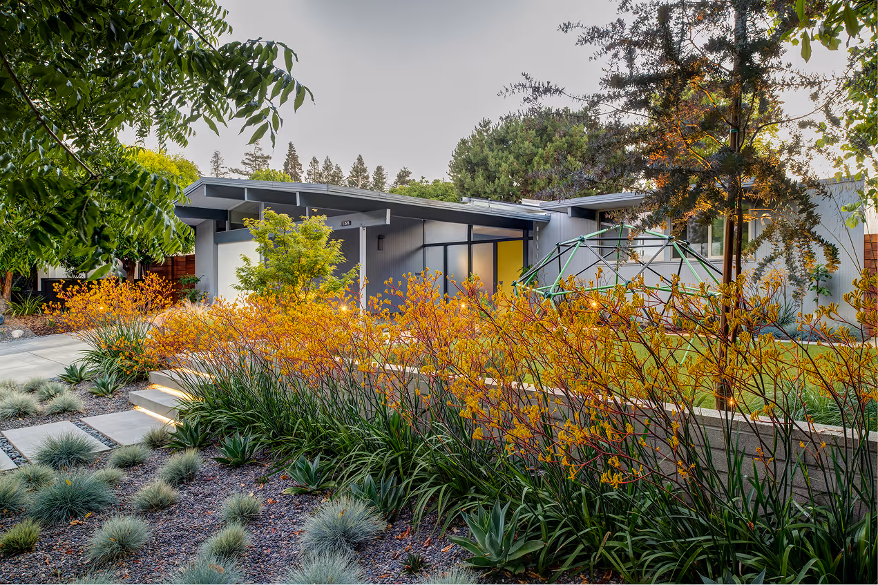 Quince | Blue Sierra Landscape Projects