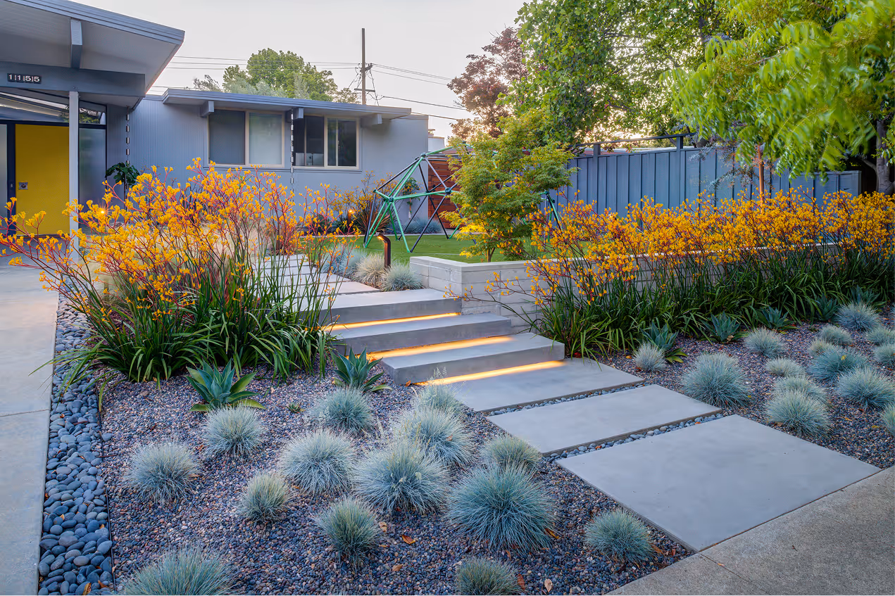 Quince | Blue Sierra Landscape Projects