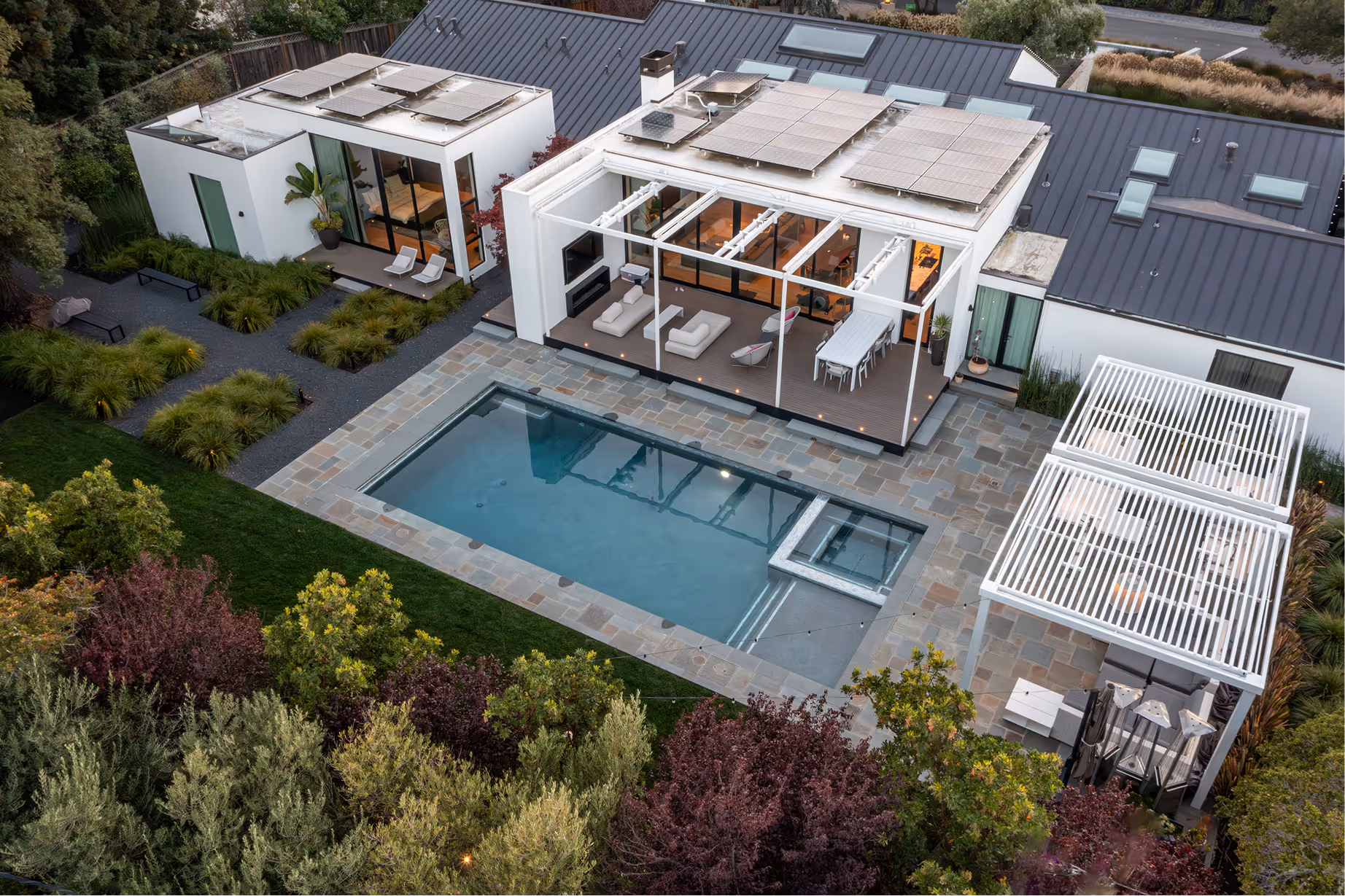 Eucalyptus | Blue Sierra Landscape Projects