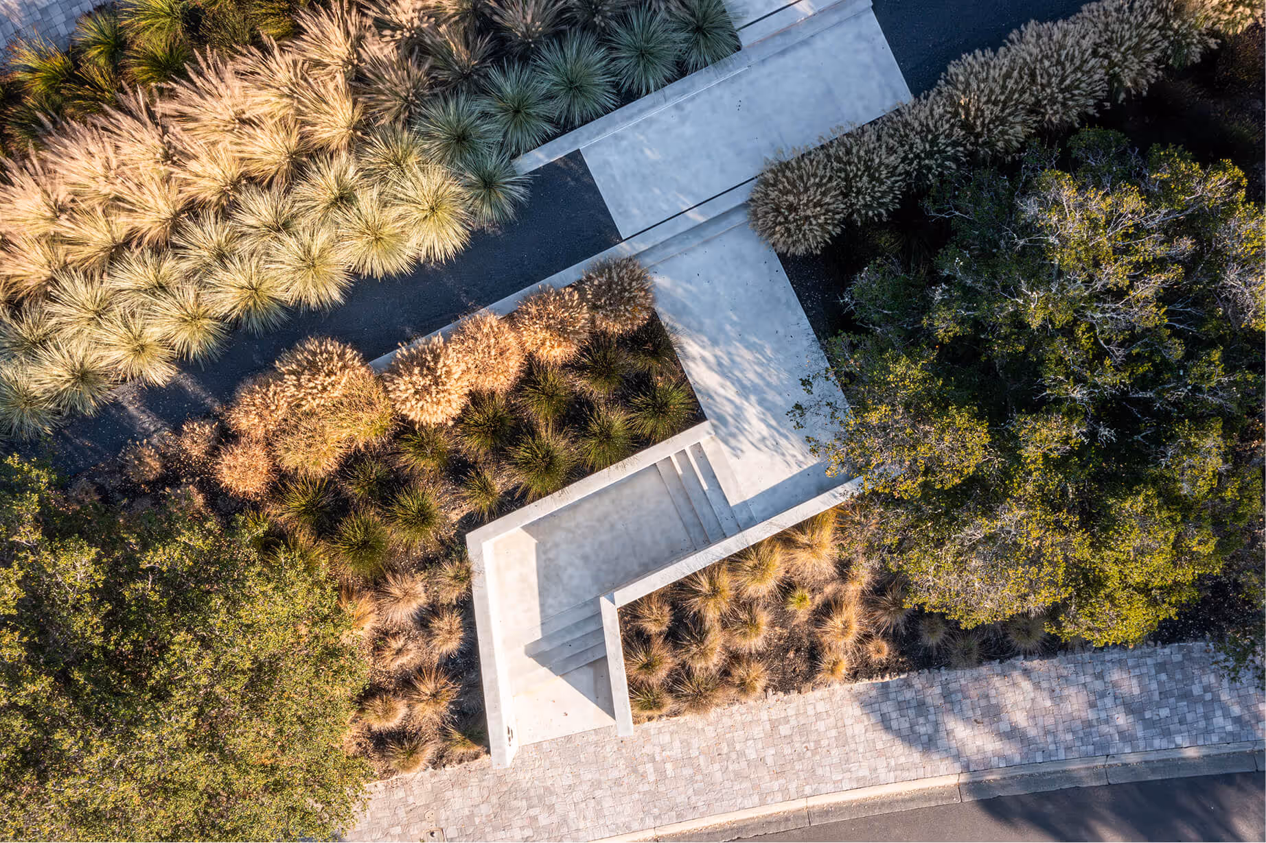 Eucalyptus | Blue Sierra Landscape Projects
