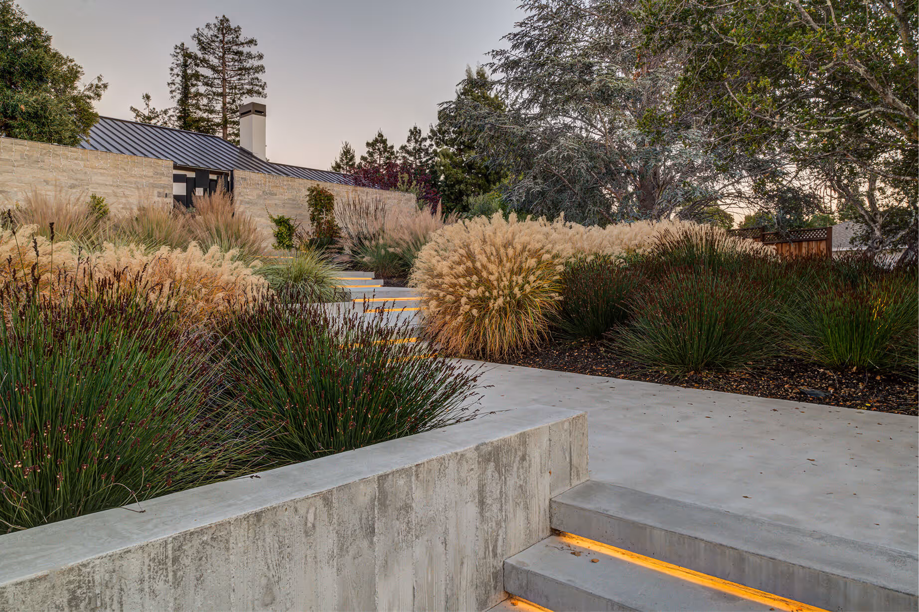 Eucalyptus | Blue Sierra Landscape Projects