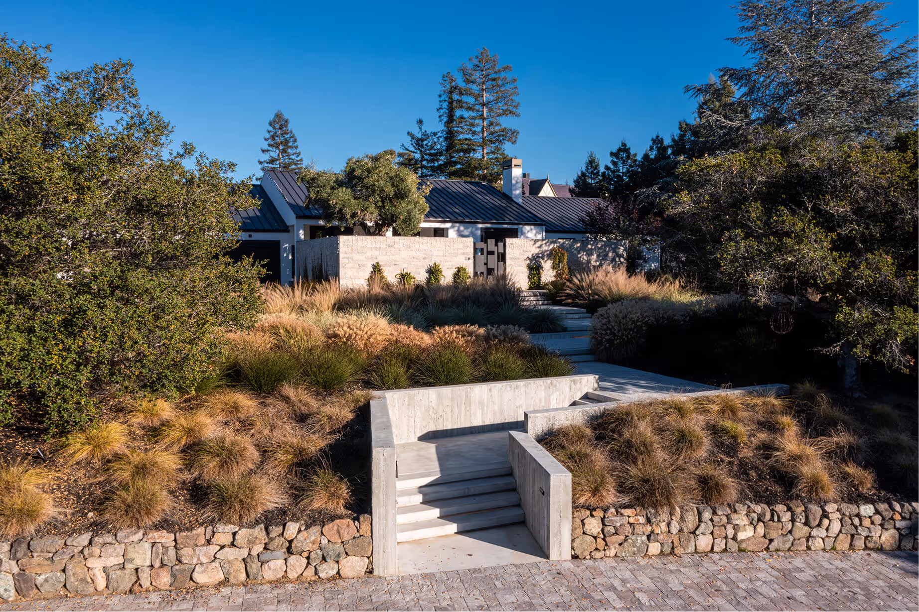 Eucalyptus | Blue Sierra Landscape Projects