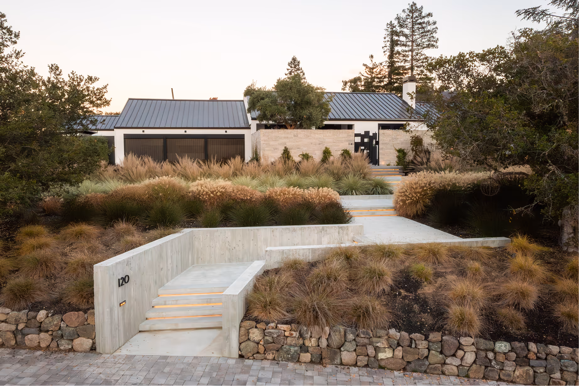 Eucalyptus | Blue Sierra Landscape Projects