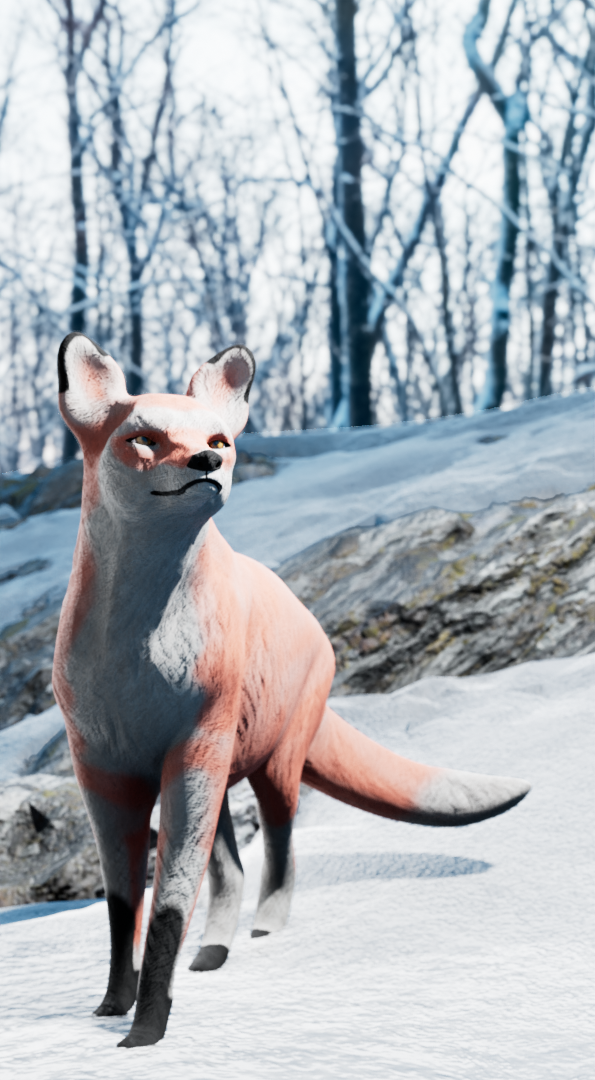 Texturing and shading 2