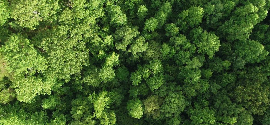 Render farms and the sustainability question: Energy use and carbon footprint