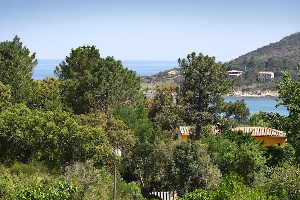 Vue mer et jardin depuis la chambre L'Arbousier à la maison d'hôtes villa mimosa