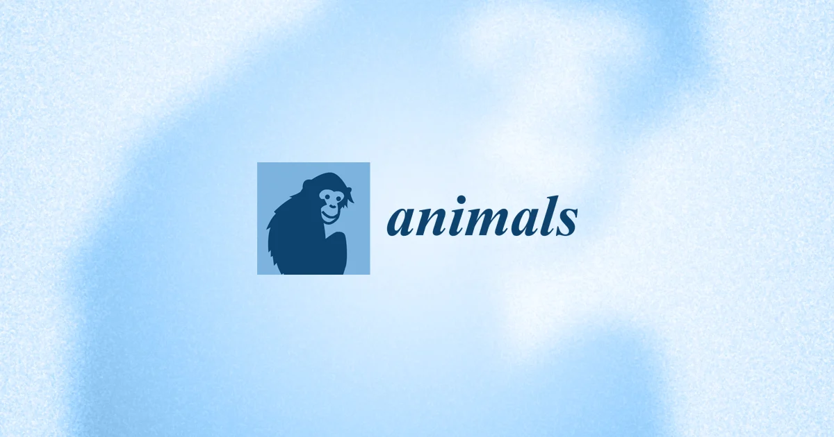 Peer-reviewed publication on Superculture® Pet Immune in Animals Journal