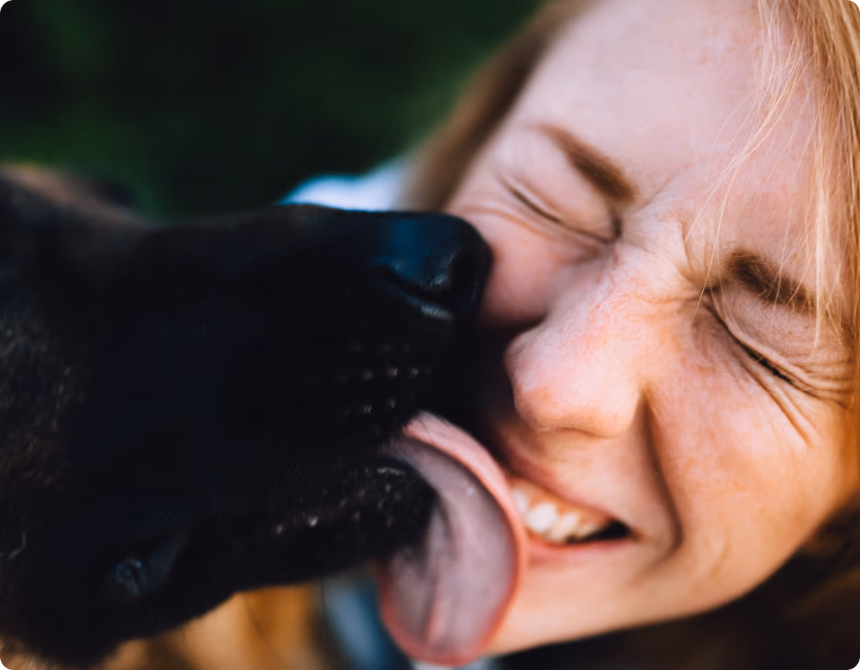Black dog licking the smiling face of a woman with closed eyes.