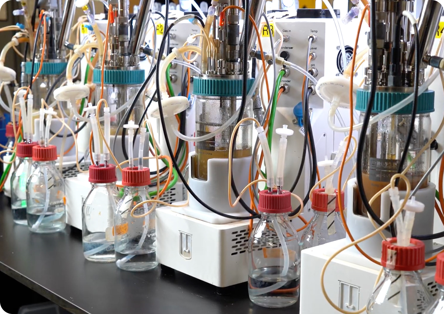 Laboratory setup with multiple glass bioreactors connected by various tubes and wires, containing liquid solutions, used for bioprocessing or fermentation experiments.