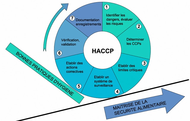 audits gmao méthode haccp