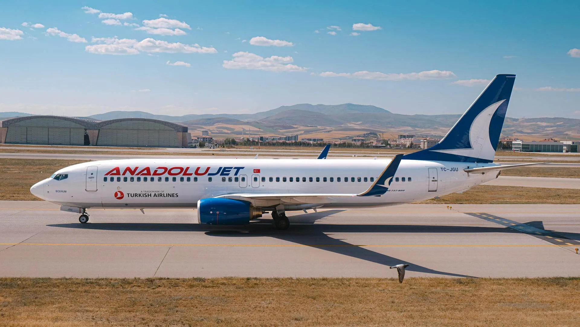 anadolujet boeing-737