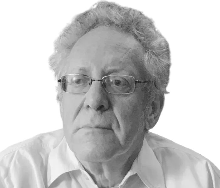 Dana Polan