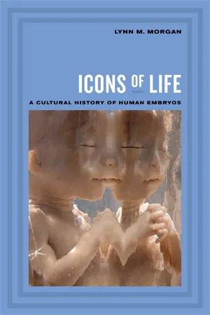 Icons of Life