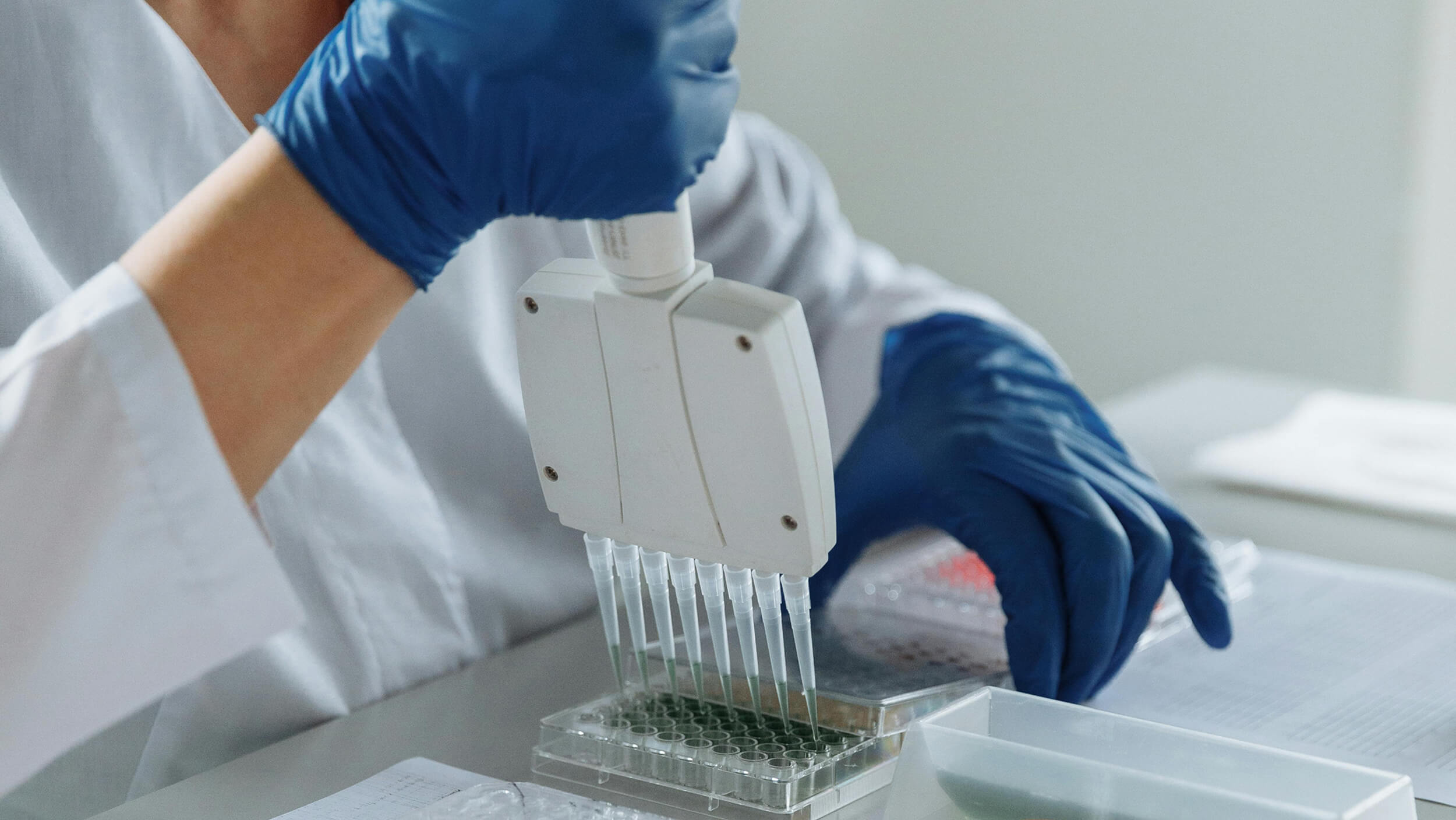 Person in blue gloves using a multi-channel pipette to fill a laboratory plate with liquid samples.