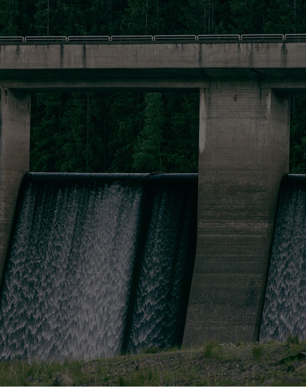 Water flowing over a concrete dam with dense green forest in the background.