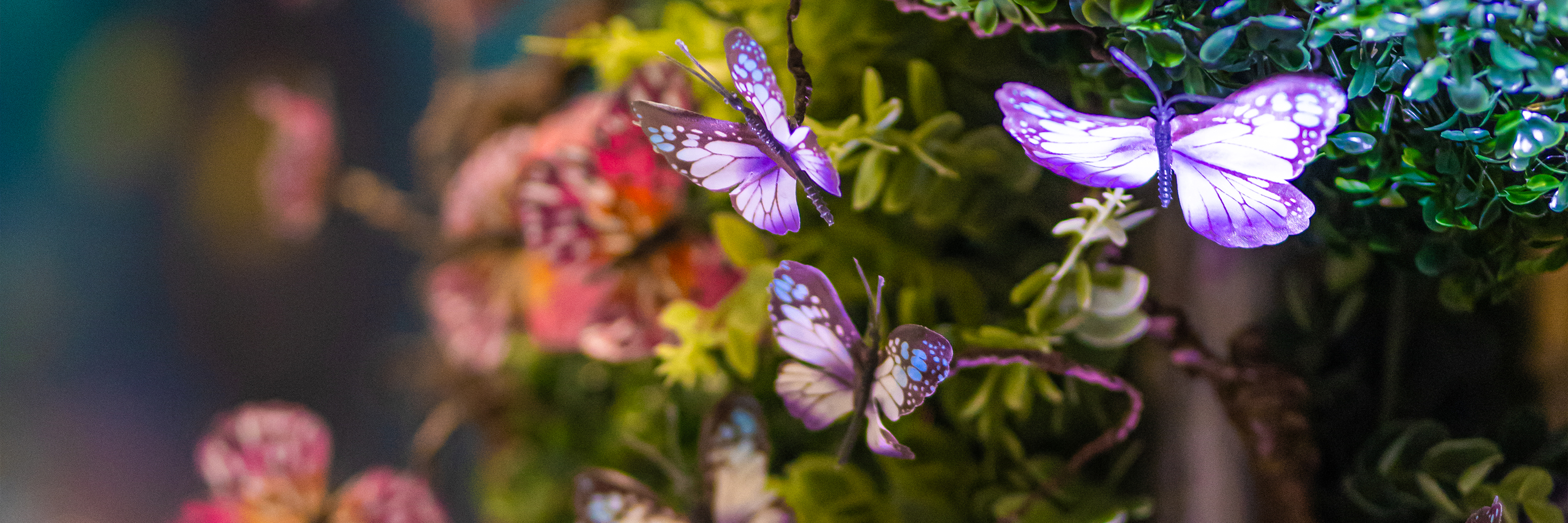 Person in a red hoodie and pink sneakers crouching and working on a laptop with a green background.