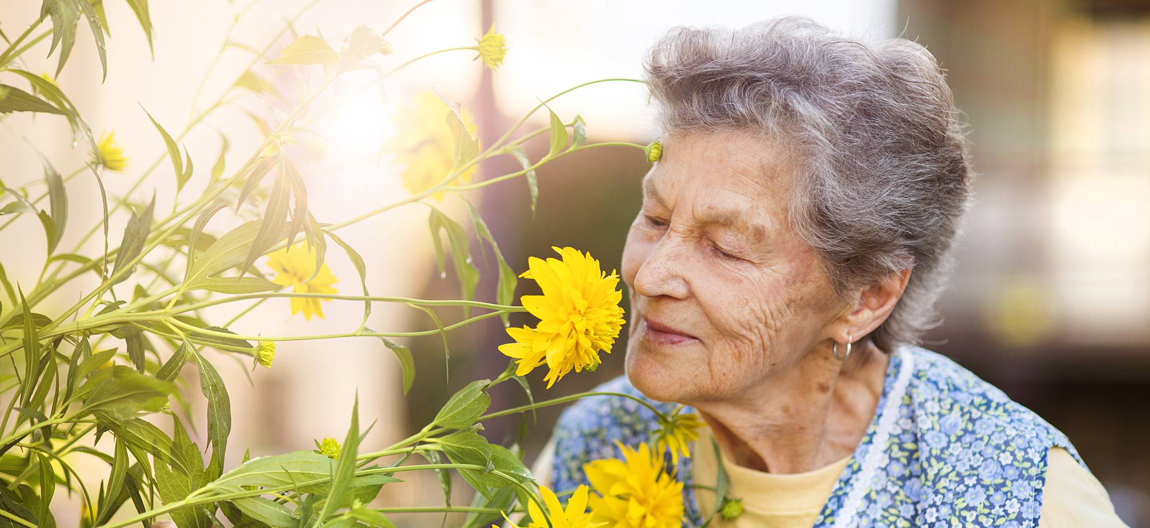Spring Activities for Seniors