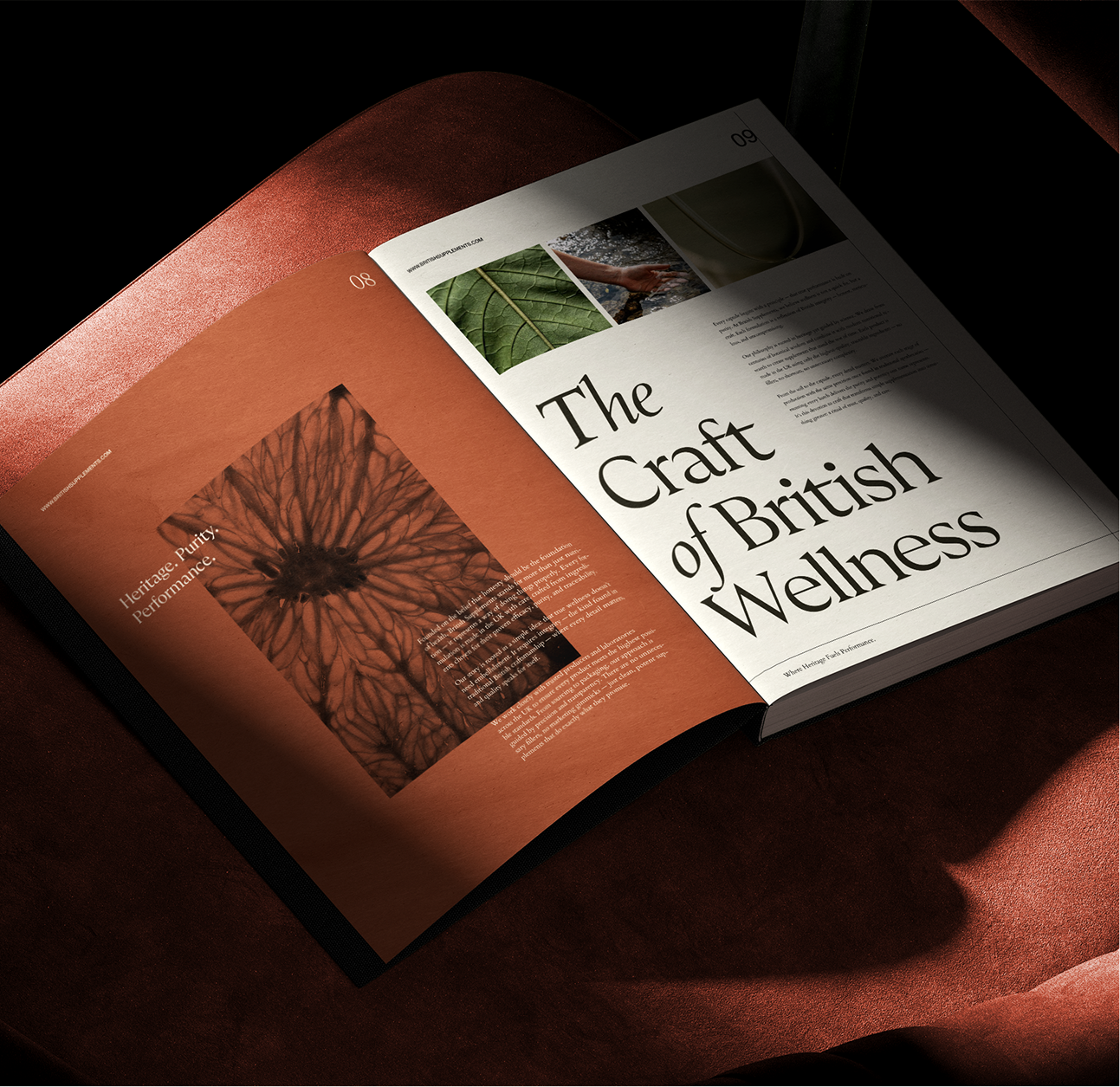 Client work - longshot