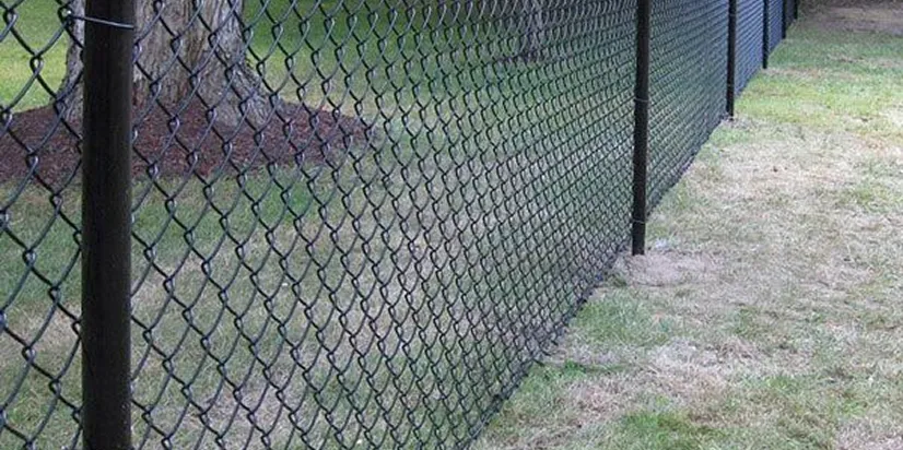 Black chain-link fence running alongside a grassy area.