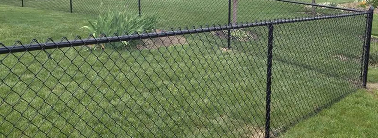 Black chain-link fence enclosing a grassy yard with plants in the background.