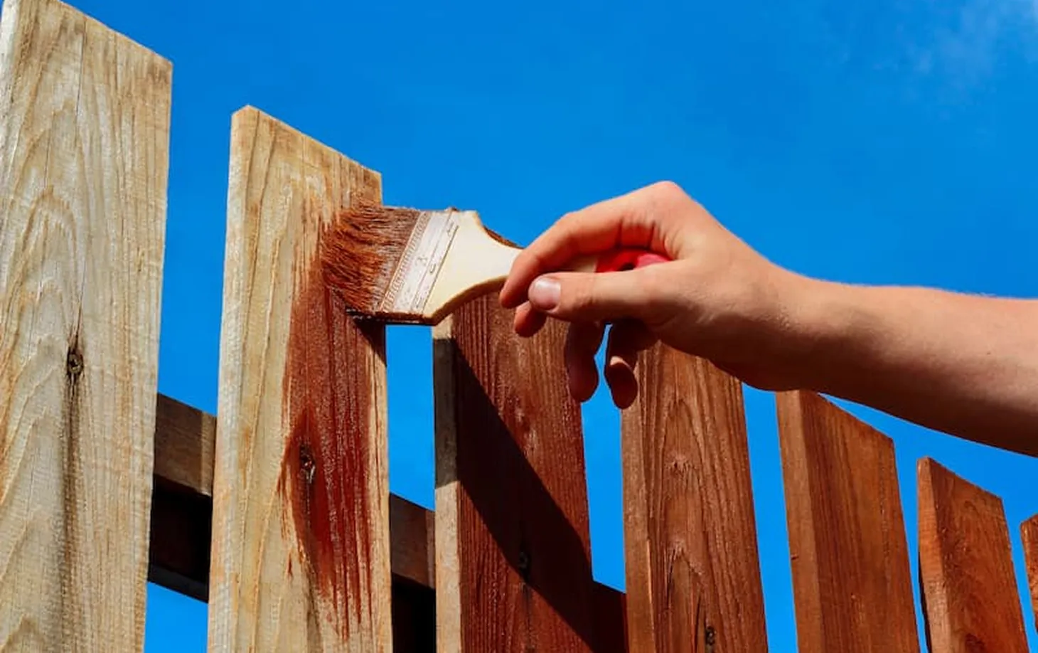 Hand applying reddish brown stain to wooden fence using a paintbrush against a blue sky.