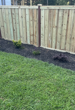 Wooden fence with a garden bed containing small shrubs and green grass in front.