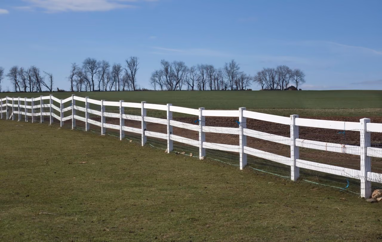 Long white wooden fence stretching across a grassy field under a blue sky, with leafless trees on the horizon.
