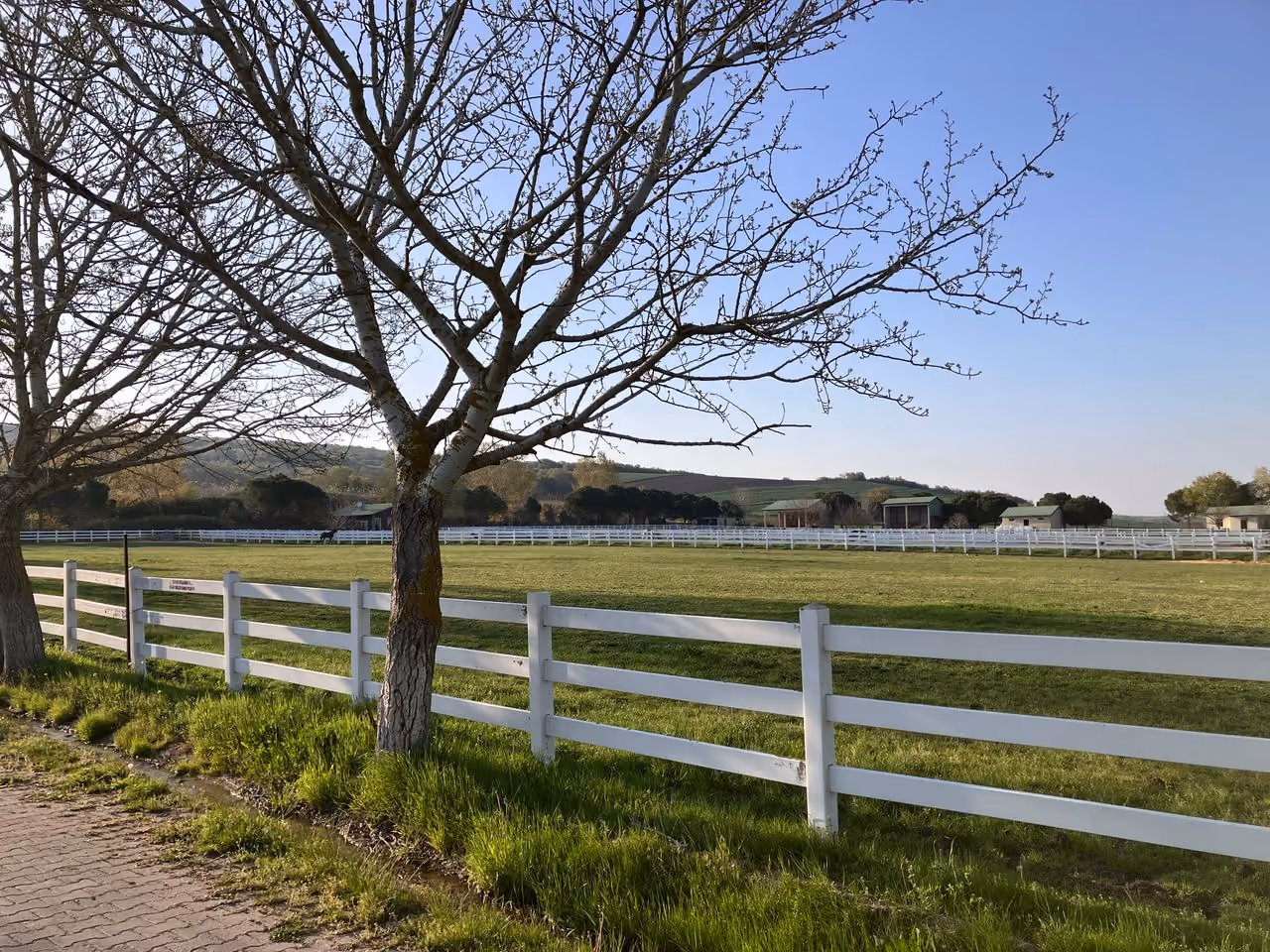 Open field with lush green grass enclosed by white wooden fences and leafless trees under a clear blue sky.